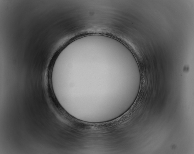 X0000103900678200809191056
