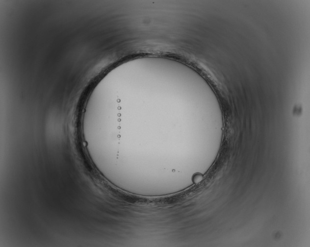 X0000103900679200809191056