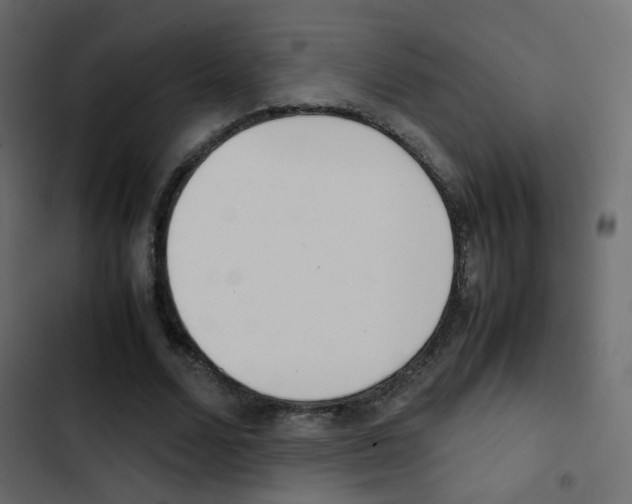 X0000103900680200809191056