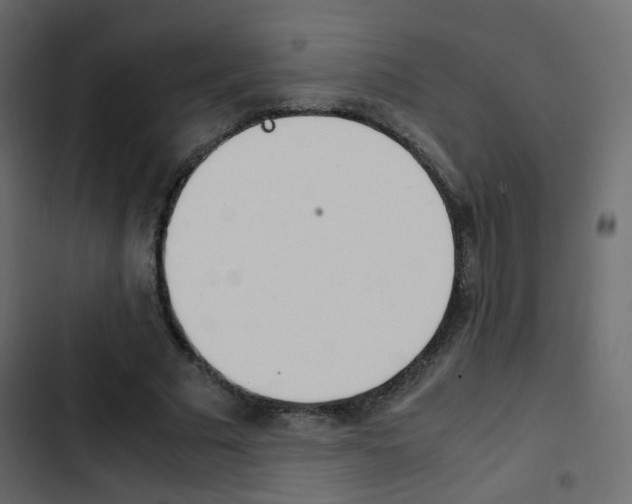 X0000103900681200809191055