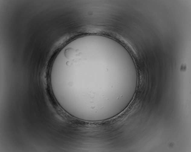 X0000103900682200809191055