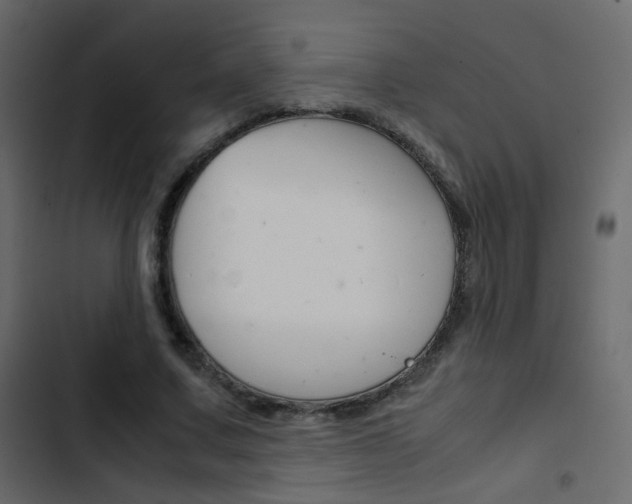 X0000103900683200809191055