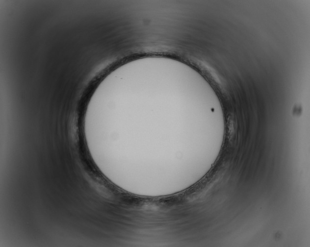 X0000103900684200809191055