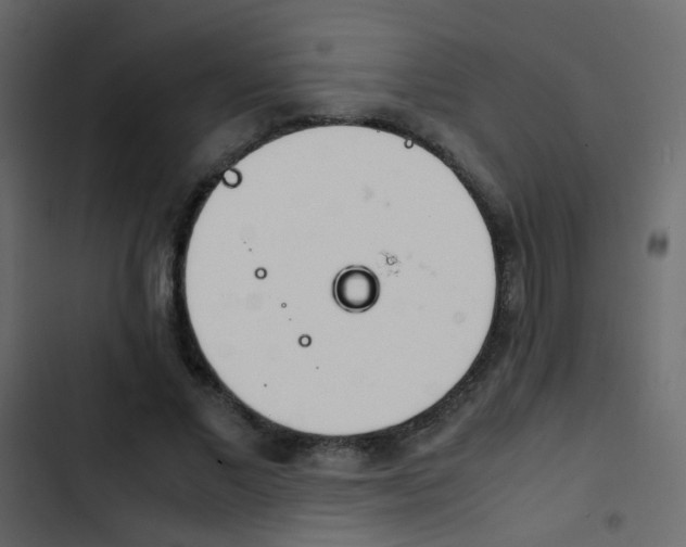 X0000103900685200809191055