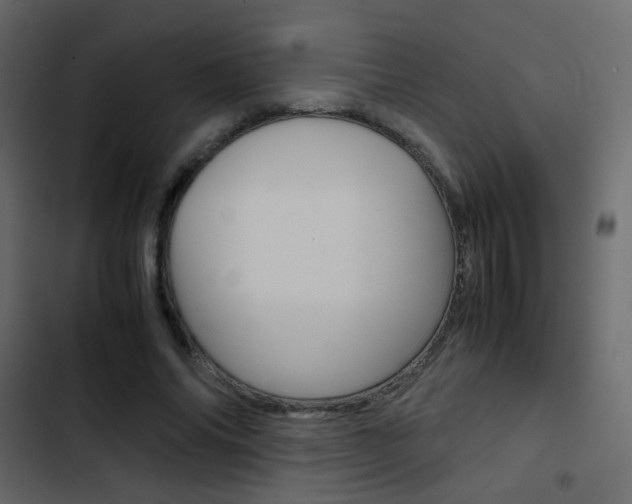 X0000103900686200809191055