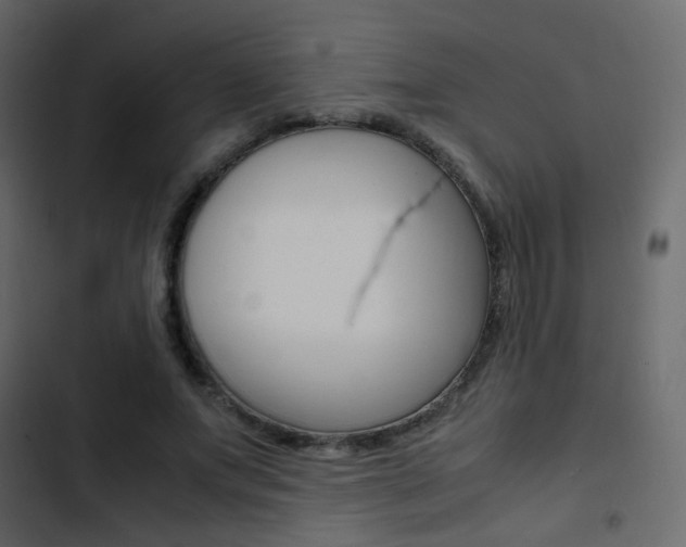 X0000103900687200809191055