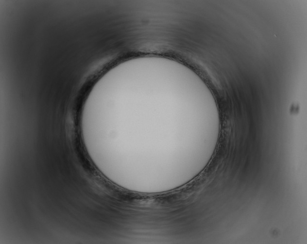 X0000103900688200809191055