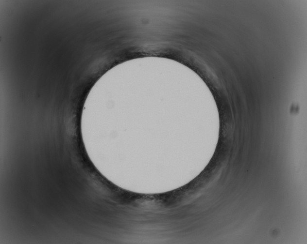 X0000103900689200809191055