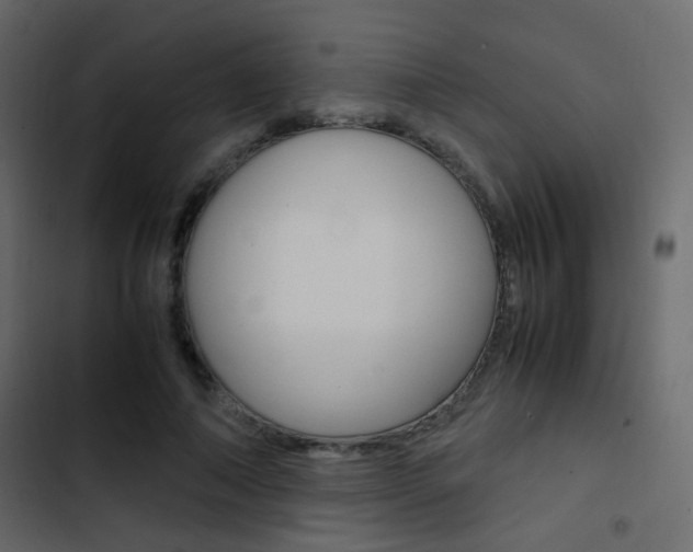 X0000103900690200809191055