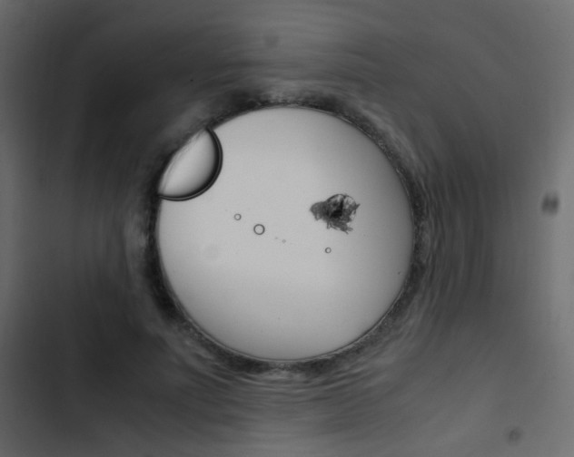 X0000103900691200809191055