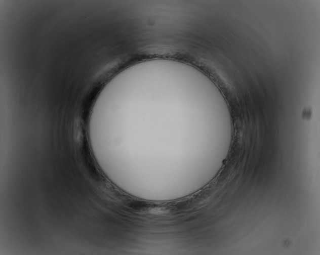 X0000103900692200809191055