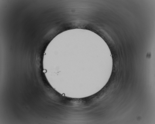 X0000103900693200809191055