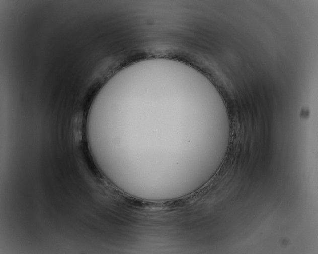 X0000103900694200809191055