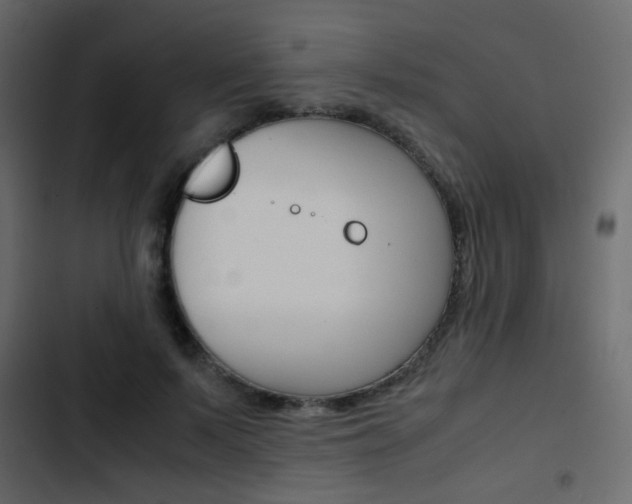 X0000103900695200809191055