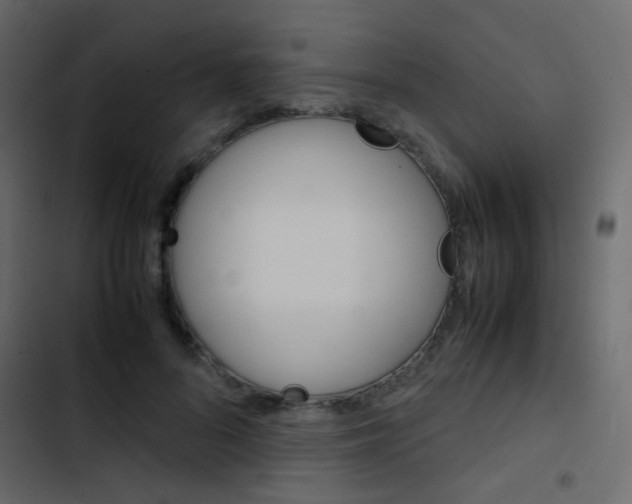 X0000103900696200809191055