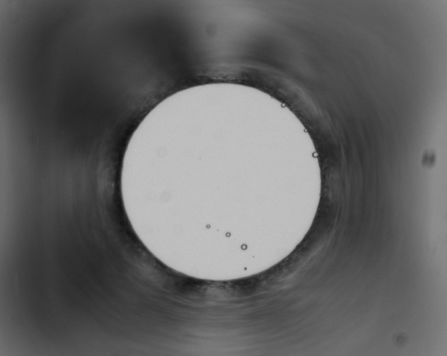 X0000103900697200809191055