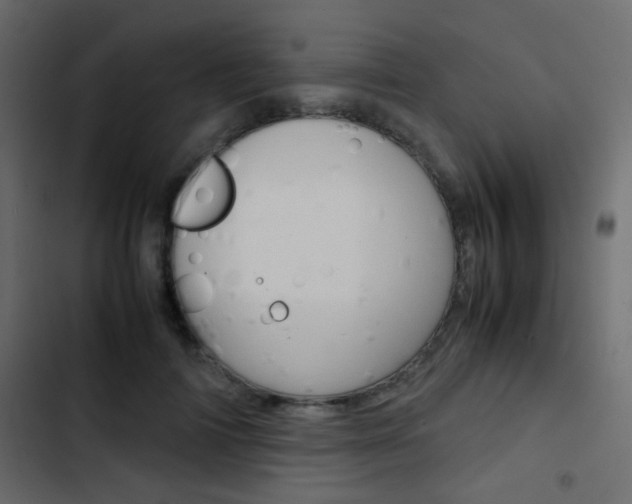 X0000103900698200809191055