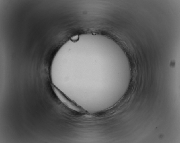 X0000103900699200809191055