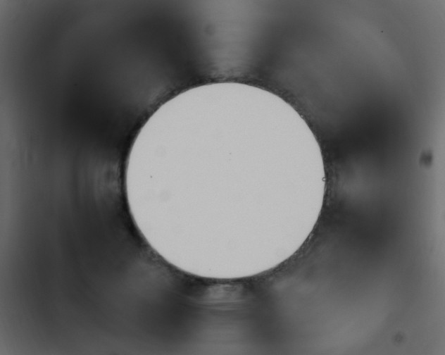 X0000103900700200809191055