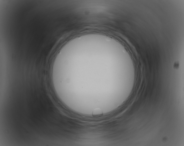 X0000103900701200809191055