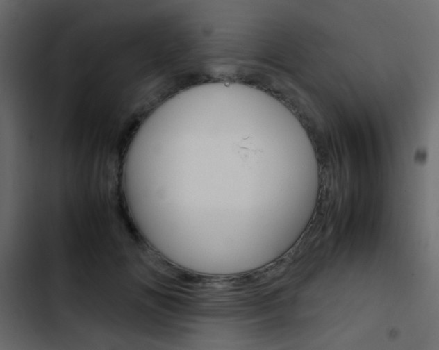 X0000103900702200809191055