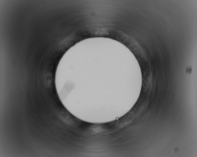 X0000103900704200809191055