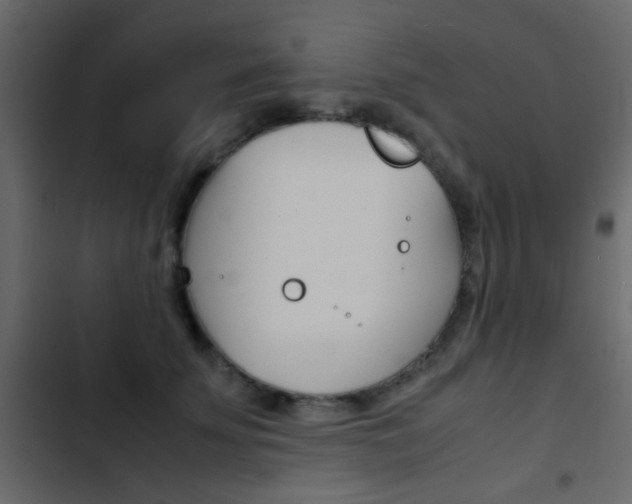 X0000103900707200809191055