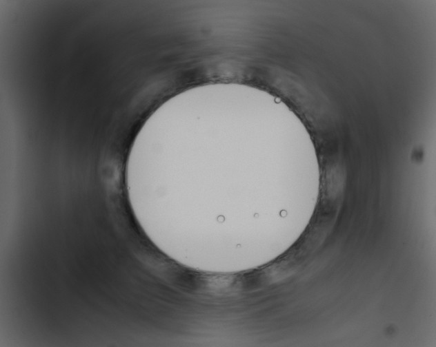 X0000103900709200809191055