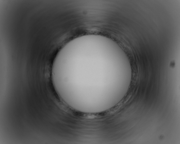X0000103900710200809191055