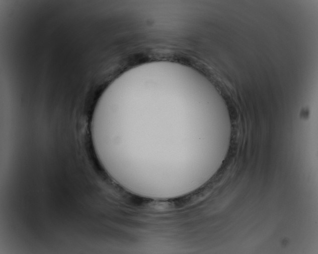 X0000103900711200809191055