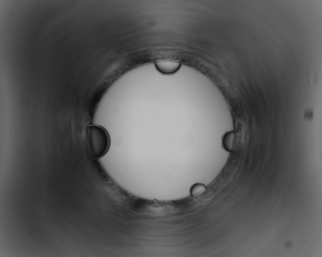 X0000103900712200809191055