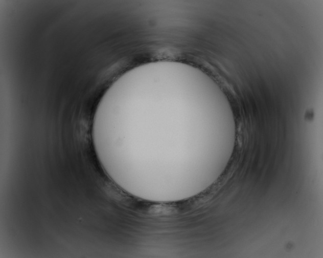X0000103900714200809191055