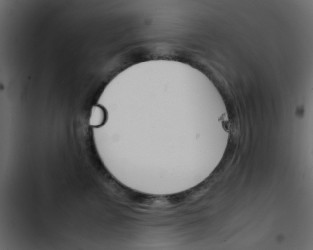 X0000103900715200809191055