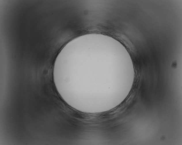X0000103900717200809191055