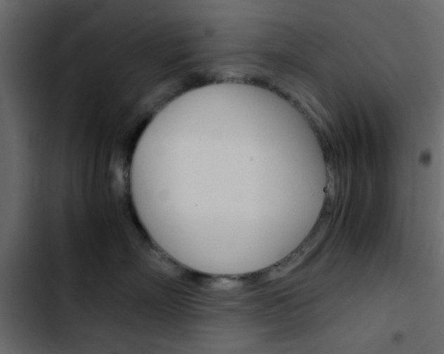 X0000103900718200809191055