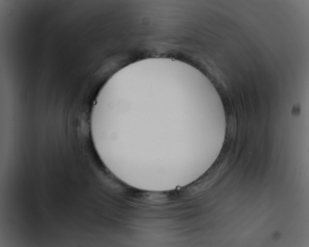 X0000103900719200809191055
