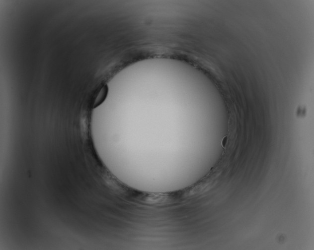X0000103900720200809191055