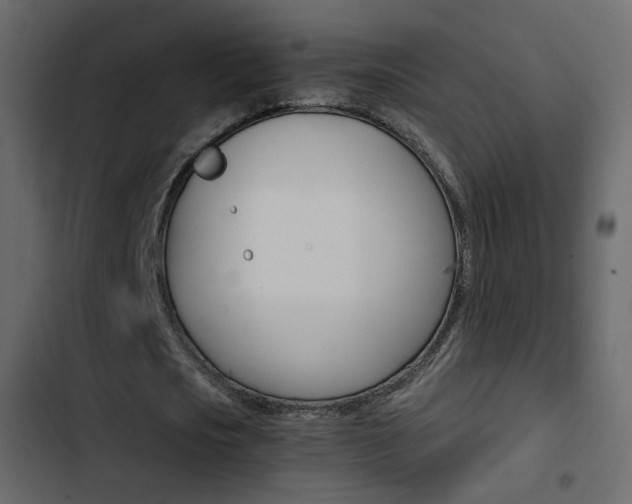X0000103900721200809191054