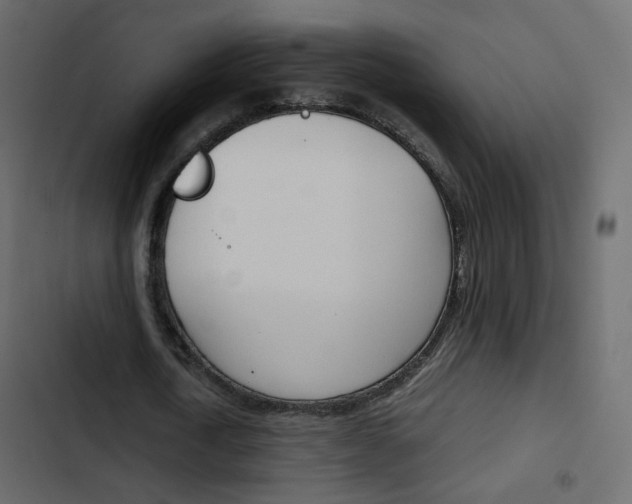 X0000103900722200809191054