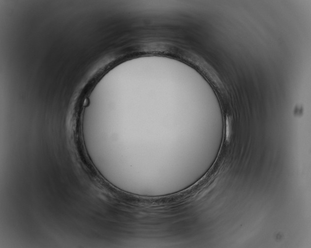 X0000103900723200809191054