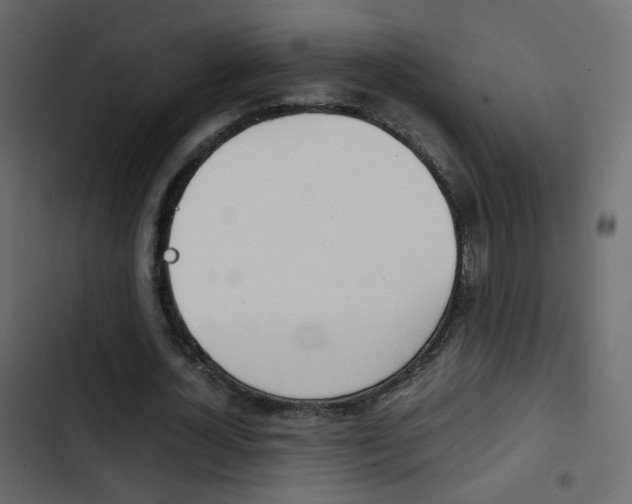 X0000103900724200809191054