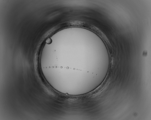 X0000103900725200809191054