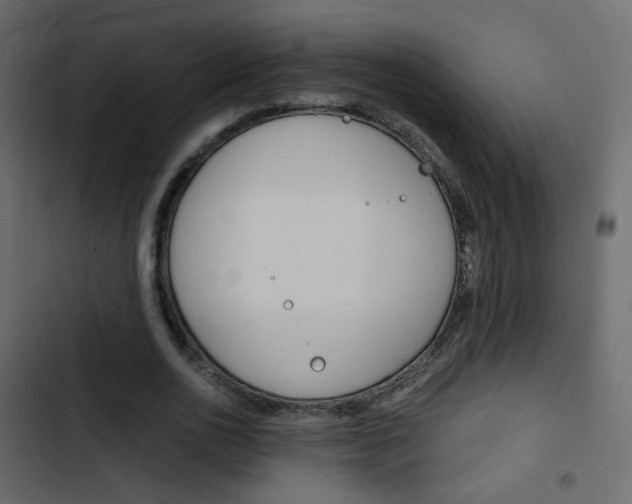 X0000103900726200809191054
