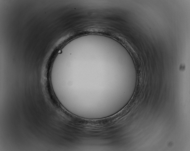 X0000103900727200809191054