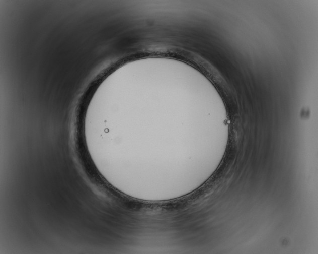 X0000103900728200809191054