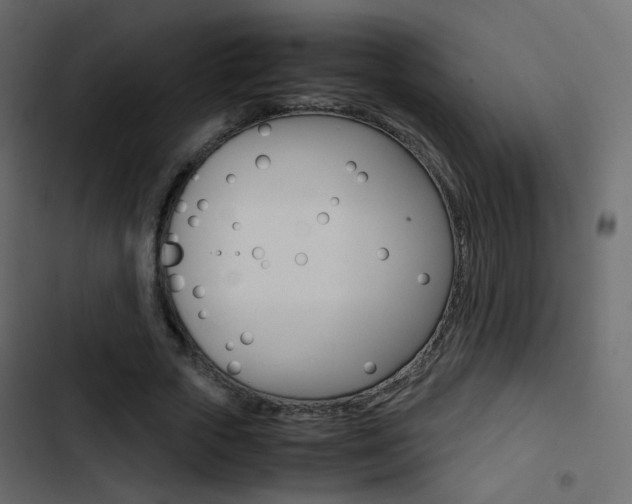 X0000103900729200809191054