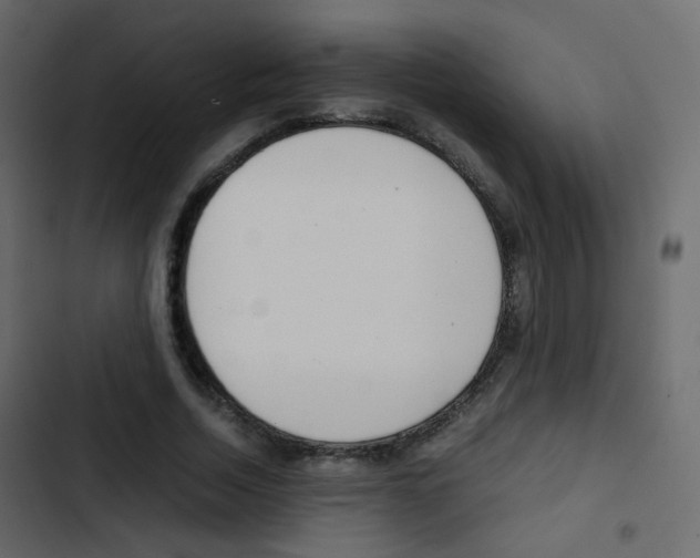 X0000103900730200809191054