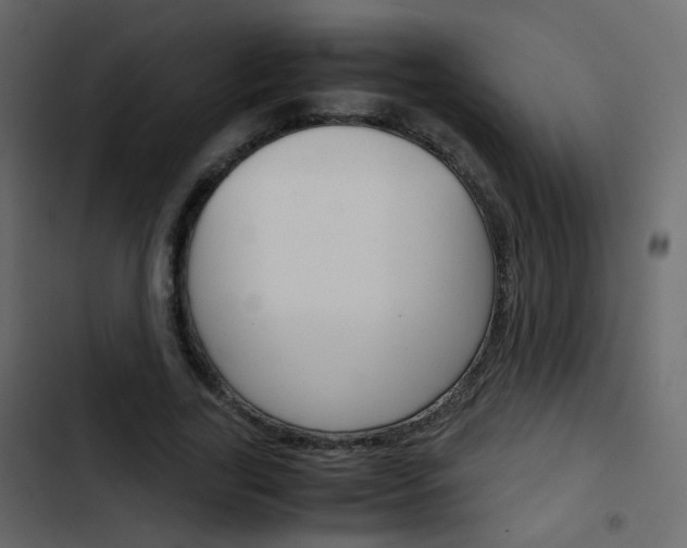 X0000103900731200809191054