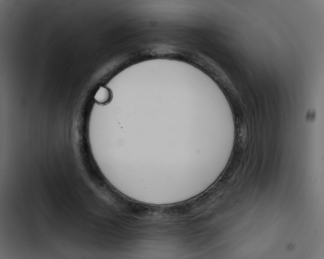 X0000103900732200809191054