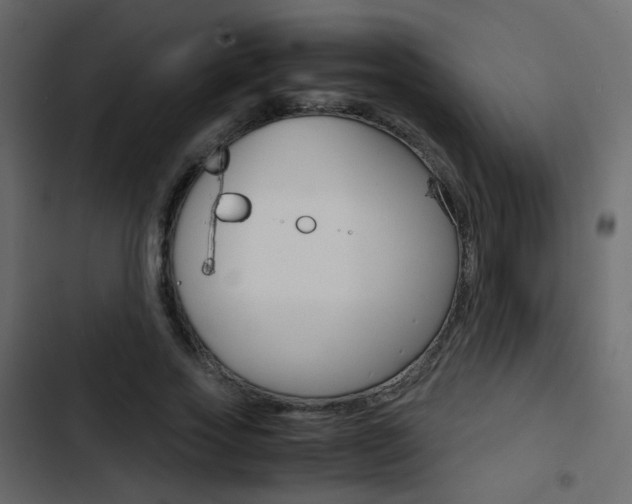 X0000103900733200809191054